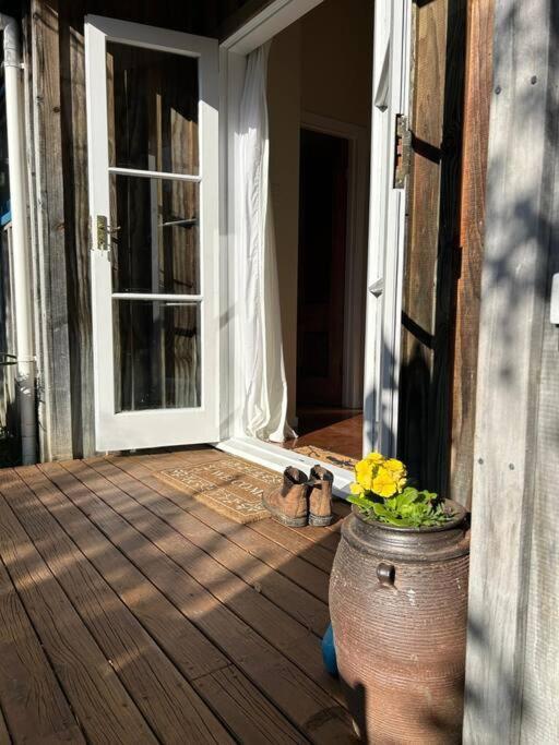 Apartament The Studio Coromandel Zewnętrze zdjęcie